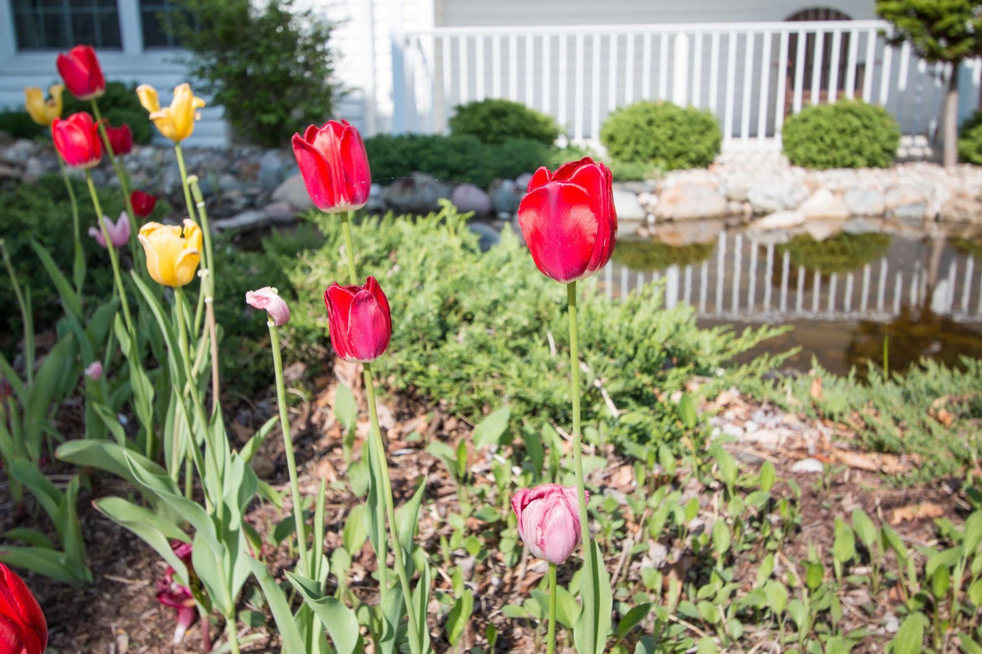 Blue Gate Garden Inn Shipshewana Exterior photo
